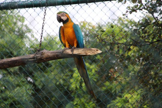 Birds Research Center & Resort